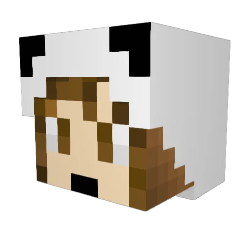 SarahTheCrafted Minecraft avatar head, 3D render