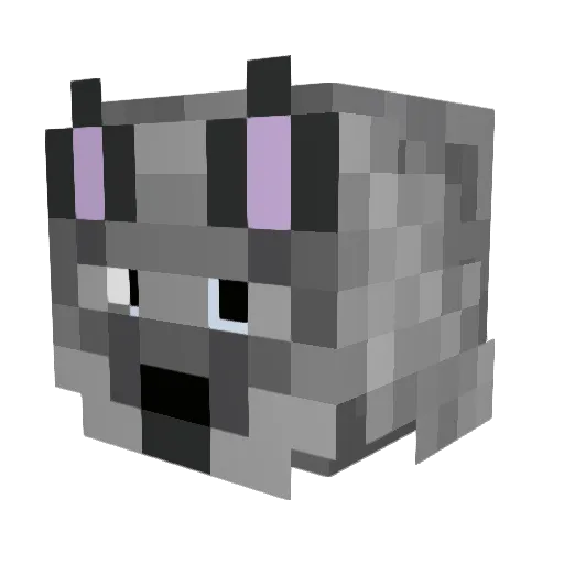 SarahZomg Minecraft avatar head, 3D render