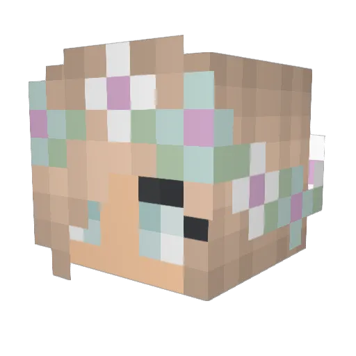 Sarah_Duck Minecraft avatar head, 3D render