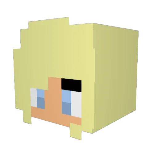 Sarah_Nowak Minecraft avatar head, 3D render