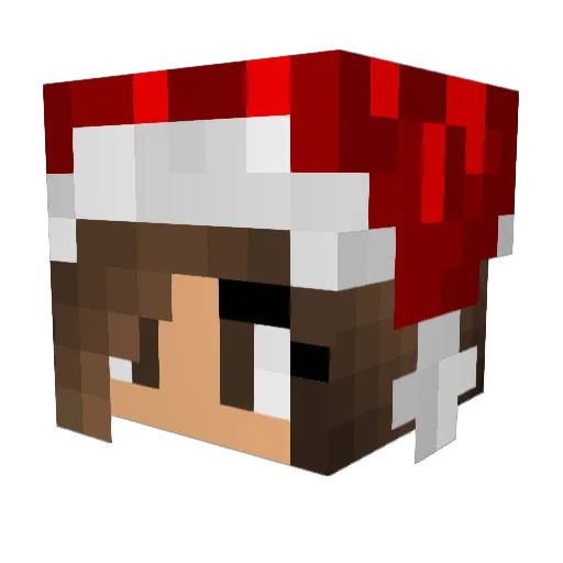 Sarah_Rosa2004 Minecraft avatar head, 3D render