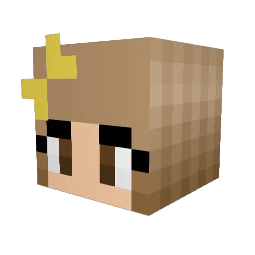 Sarahbug18 Minecraft avatar head, 3D render