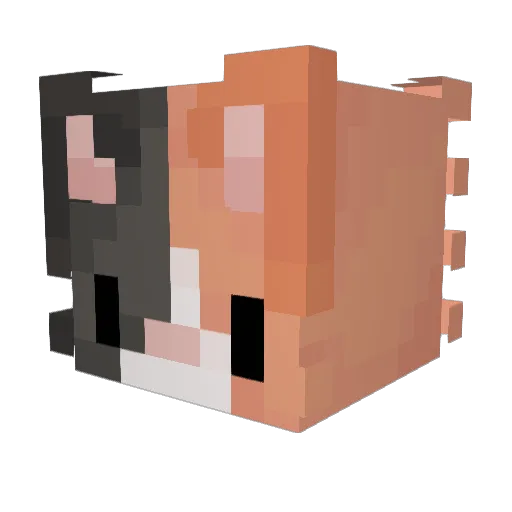 Sarahdactal Minecraft avatar head, 3D render