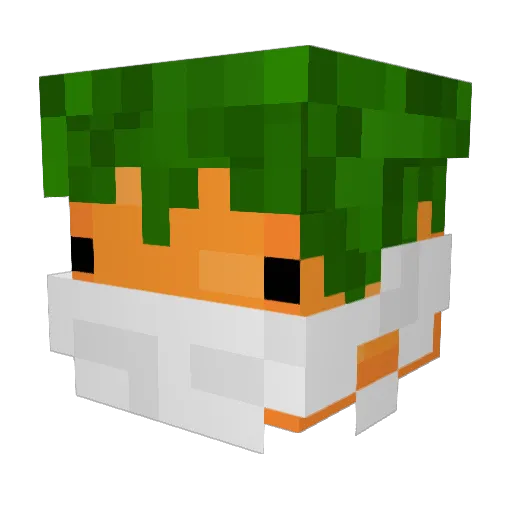 Sarahjah Minecraft avatar head, 3D render