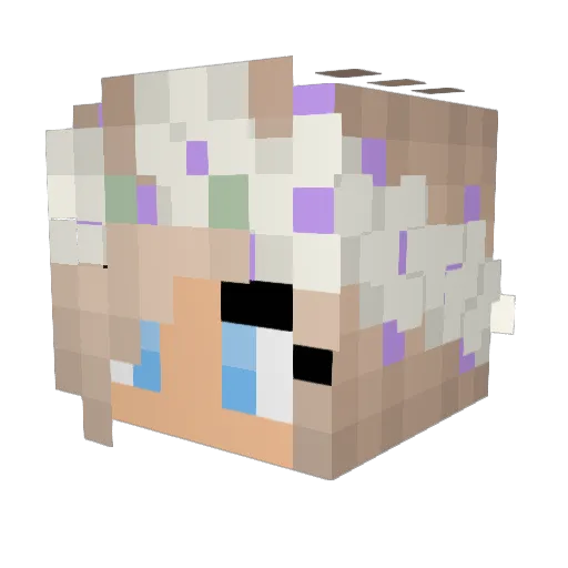 SarahsaaS Minecraft avatar head, 3D render