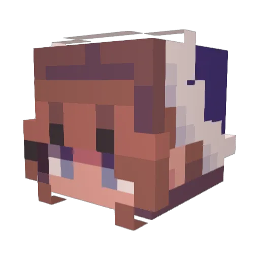 Saraiva52 Minecraft avatar head, 3D render
