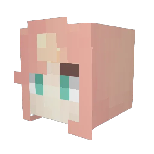 Sarajulie Minecraft avatar head, 3D render