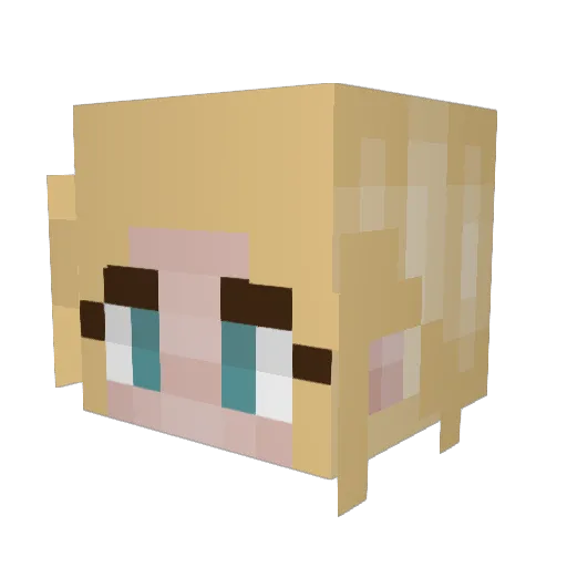 Sarakhj Minecraft avatar head, 3D render