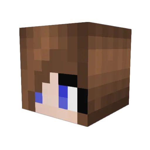 Sarakking Minecraft avatar head, 3D render