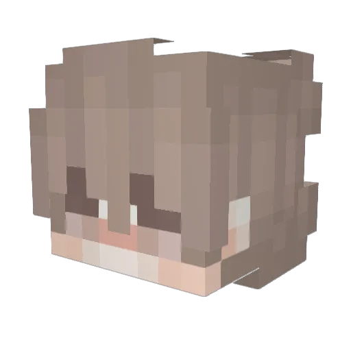 Sarangyuh Minecraft avatar head, 3D render
