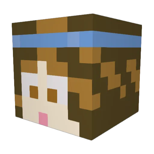 Saraphina27 Minecraft avatar head, 3D render