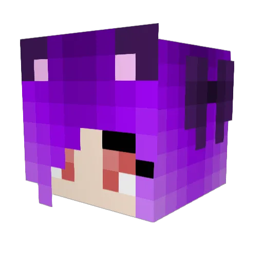 Sararainmaker Minecraft avatar head, 3D render