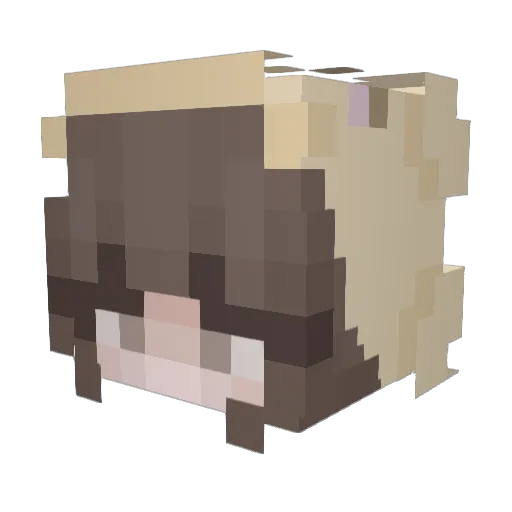 Sarasieni Minecraft avatar head, 3D render