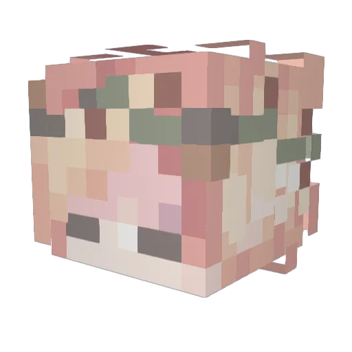 Saratet Minecraft avatar head, 3D render
