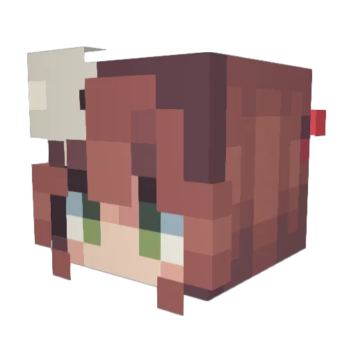 Sarayy8419 Minecraft avatar head, 3D render