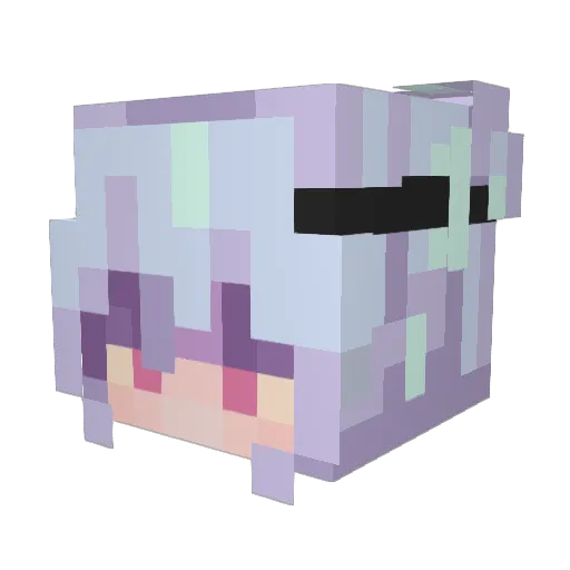 Sarazar Minecraft avatar head, 3D render