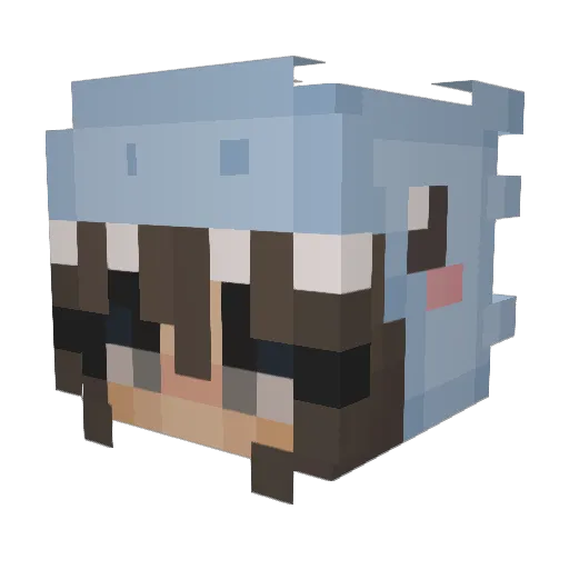 Sarba_ Minecraft avatar head, 3D render