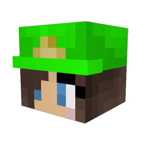 Sarbuscuss Minecraft avatar head, 3D render