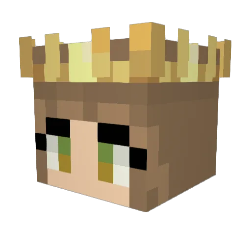 SarcasticFrog22 Minecraft avatar head, 3D render