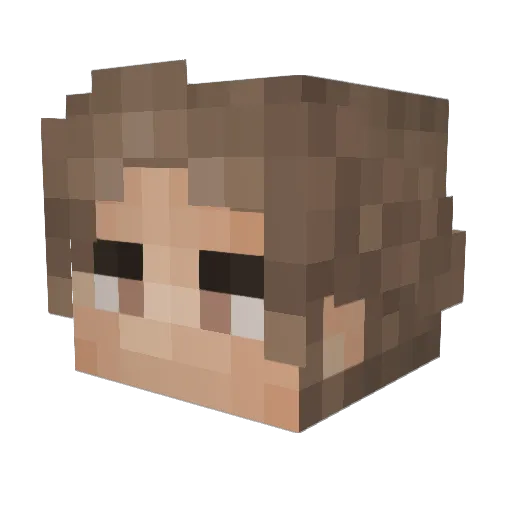 SarcasticGarbage Minecraft avatar head, 3D render