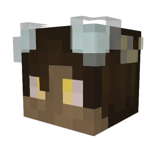 SarcasticLoli Minecraft avatar head, 3D render