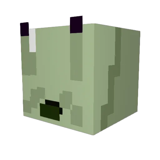 SarcasticSnail Minecraft avatar head, 3D render