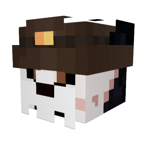 Sarcastic_Filmer Minecraft avatar head, 3D render