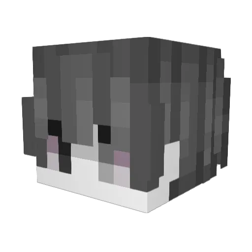 Sarcode Minecraft avatar head, 3D render