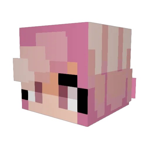 Sarcothagus Minecraft avatar head, 3D render