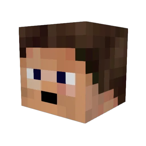 Sardai Minecraft avatar head, 3D render