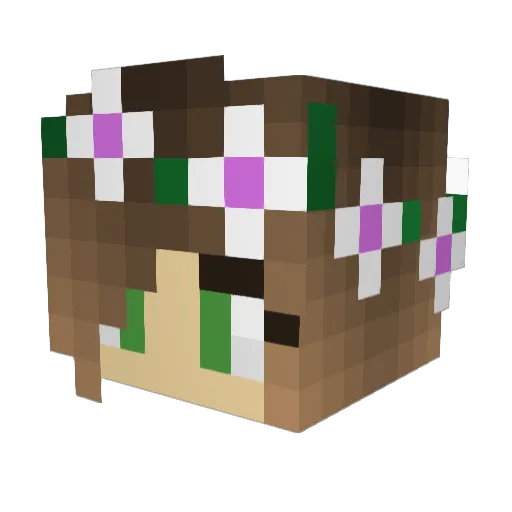 Sardei Minecraft avatar head, 3D render