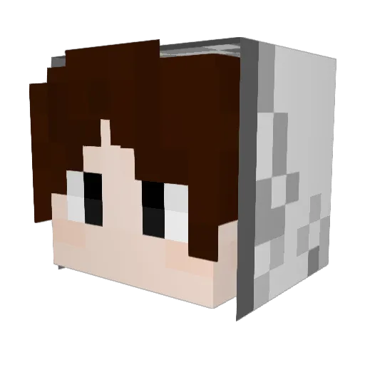 Sardina_a Minecraft avatar head, 3D render