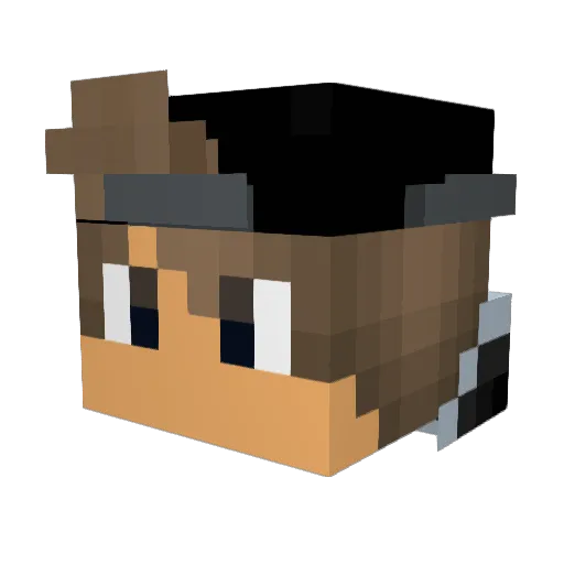 SardineConsumer Minecraft avatar head, 3D render