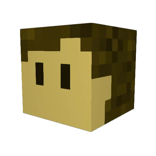 Sardines_ Minecraft avatar head, 3D render
