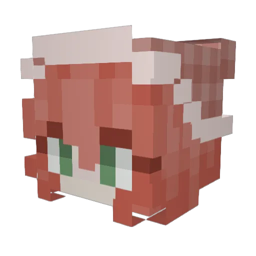 Sardoh Minecraft avatar head, 3D render