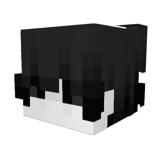 SargerasTM Minecraft avatar head, 3D render