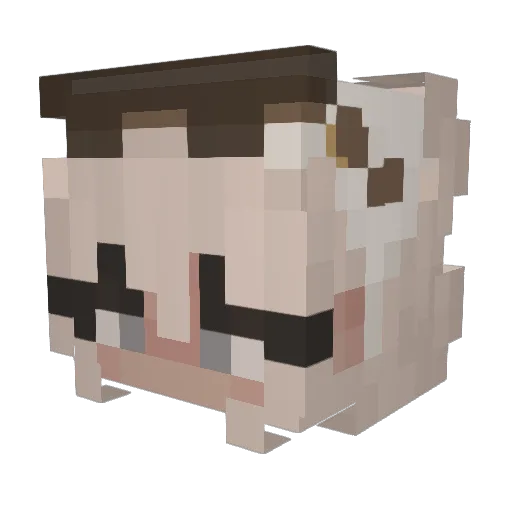 Sargia_playz Minecraft avatar head, 3D render