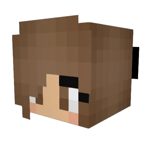 Sargo2000 Minecraft avatar head, 3D render