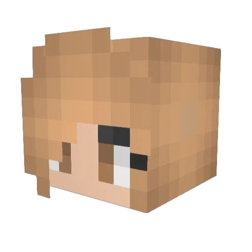 Sarguga Minecraft avatar head, 3D render