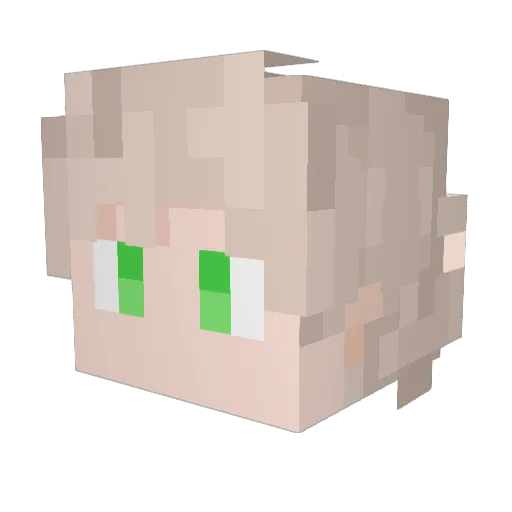 Sariatliss Minecraft avatar head, 3D render
