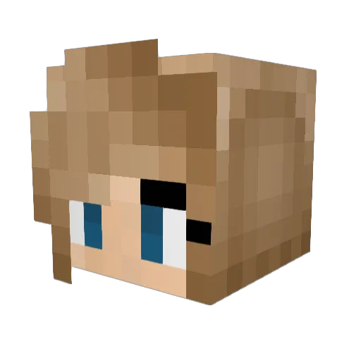 Sarie105 Minecraft avatar head, 3D render