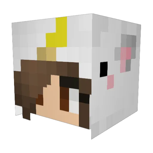 Sarii2017 Minecraft avatar head, 3D render