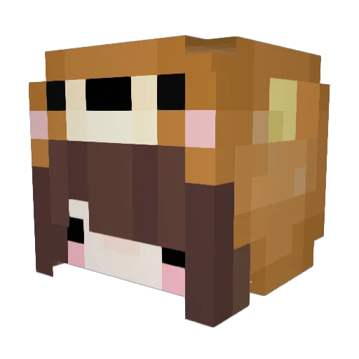 Sarimisu Minecraft avatar head, 3D render