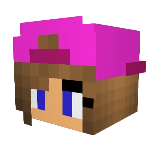 SarinhaGamer_PvP Minecraft avatar head, 3D render