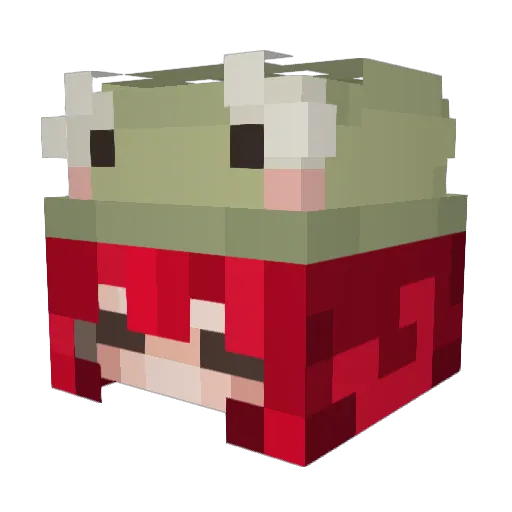 Sarinhart Minecraft avatar head, 3D render