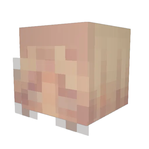 SaritahG Minecraft avatar head, 3D render