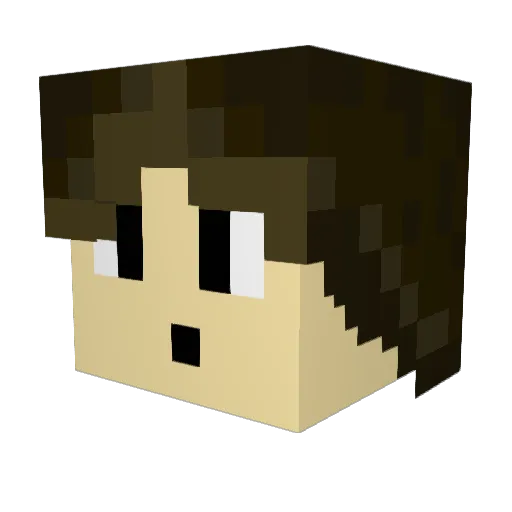 SarkBleen Minecraft avatar head, 3D render