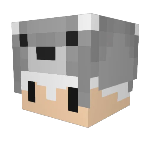 Sarkanj Minecraft avatar head, 3D render