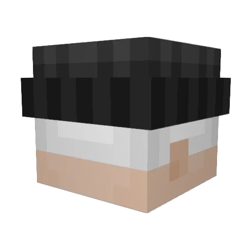 SarkastikZiege Minecraft avatar head, 3D render