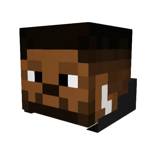 Sarkelll Minecraft avatar head, 3D render